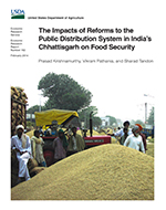 The impacts of reforms to the public distribution system in India’s Chhattisgarh on food security